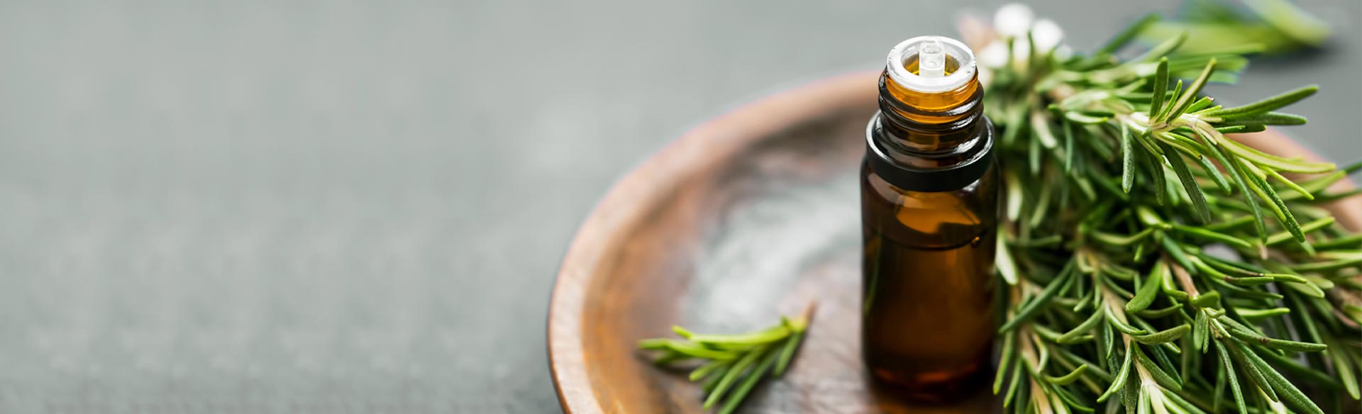 Rosemary extract